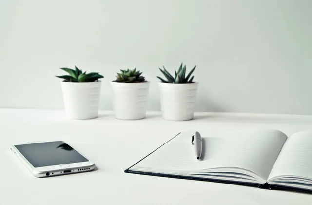 A quiet desk with a notebook and a plant
