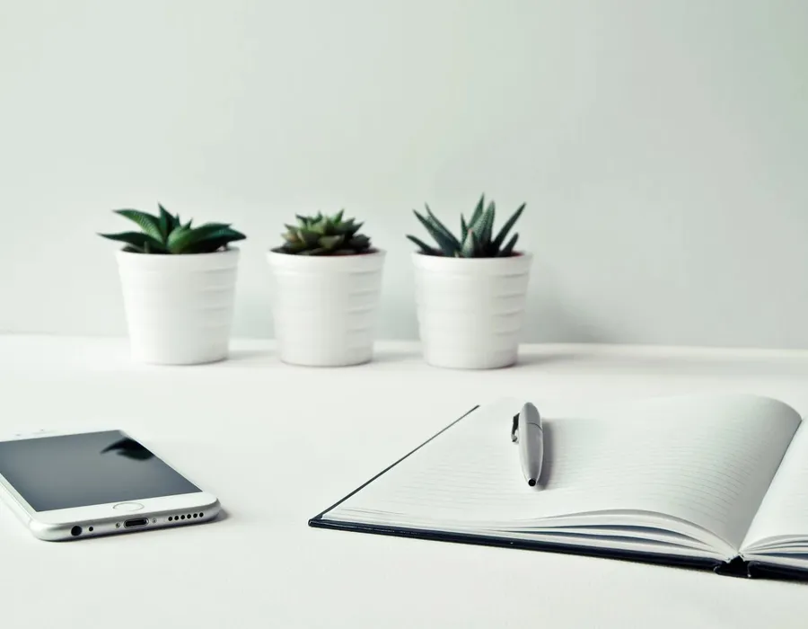 A quiet desk with a notebook and a plant