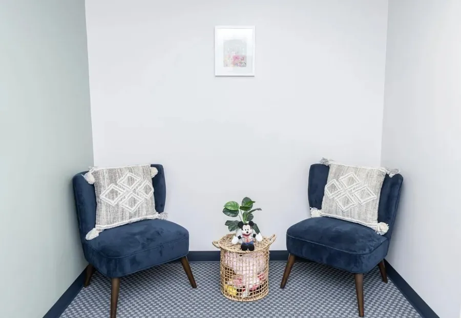 Two navy armchairs in a quiet corner for conversation